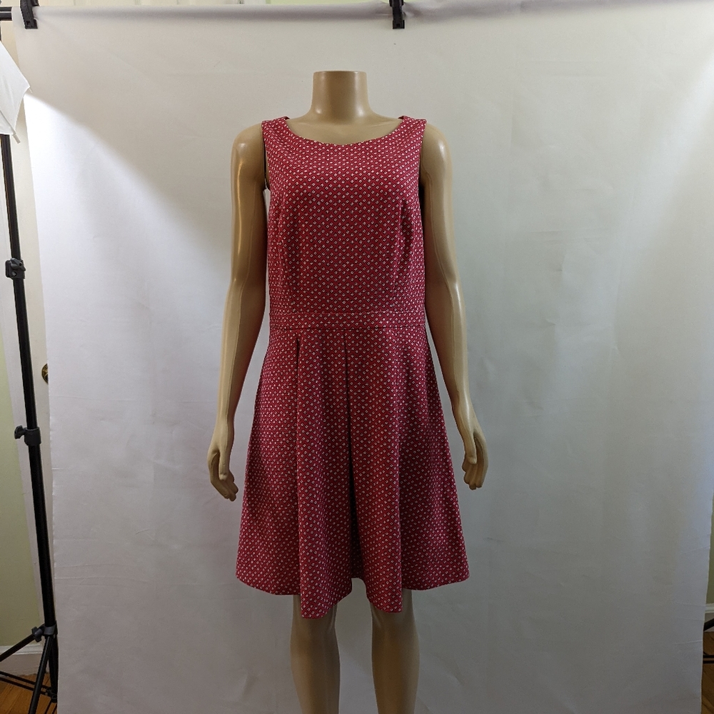 NWT THE LIMITED 🛍️ Beautiful fit and flare dress